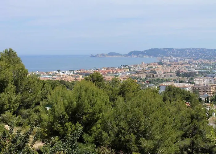 Impala Javea